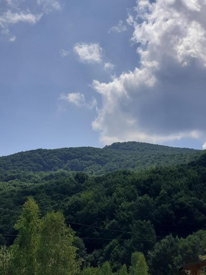 Соколів Камінь Novoselitsa  Εξωτερικό φωτογραφία