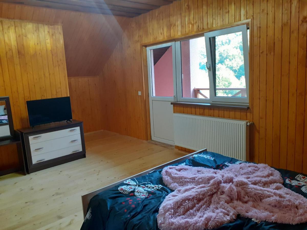 Соколів Камінь Novoselitsa  Εξωτερικό φωτογραφία