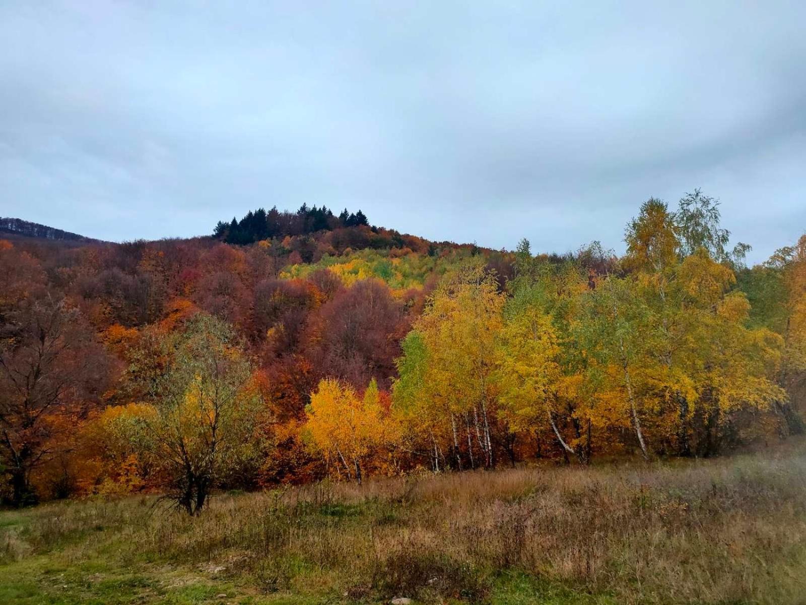 Соколів Камінь Novoselitsa  Εξωτερικό φωτογραφία